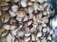 -张树军海鲜(王府壹号店)