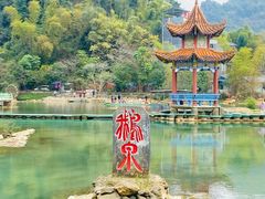 -靖西鹅泉风景区