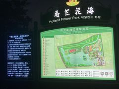 -荷兰花海