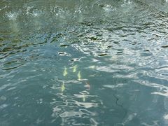 -DGE季风钓虾营地·团建·聚会