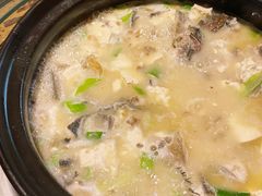 雪山鱼炖豆腐-炊烟餐厅