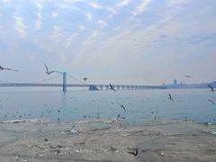 -星海广场