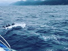 -七星潭蓝天广场