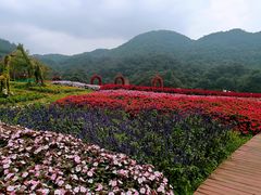 -广州市石门国家森林公园