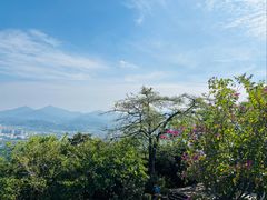 -风云岭森林公园