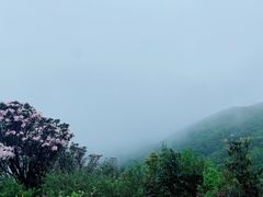 -广东天露山旅游度假区