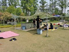 -上海长兴岛郊野公园