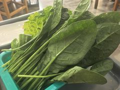 -濠轩阁特色生蚝火锅(水湾路店)