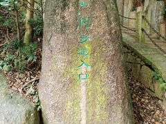 -梧桐山风景名胜区