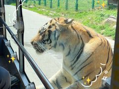 -西安秦岭野生动物园