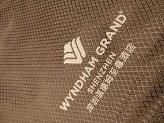 -深圳温德姆至尊酒店·大堂吧·户外花园