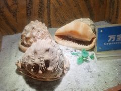 -南昌海洋公园