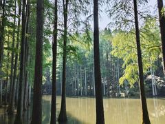 -波尔登森林公园