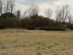 -白鹭湾湿地公园