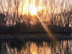 -森林公园(尖草坪区)