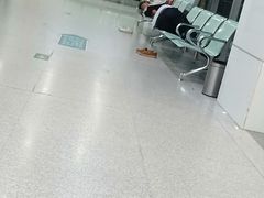 -河南省人民医院(院本部)
