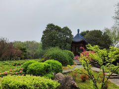 -洛阳市隋唐城遗址植物园