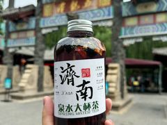 -趵突泉景区