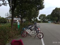 -荷塘月色湿地公园·向阳花洲