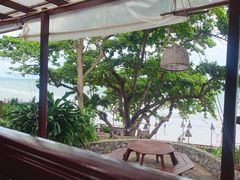 -卷心菜和避孕套餐厅(Pattaya)