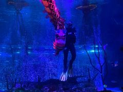 -沈阳海洋探索中心