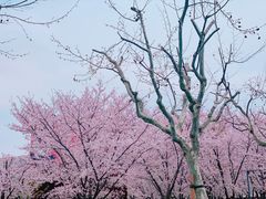 -龙美术馆(西岸馆)