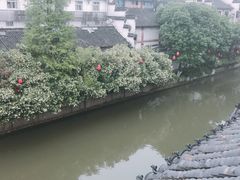 -南京夫子庙国际青年旅舍(平江府路店)