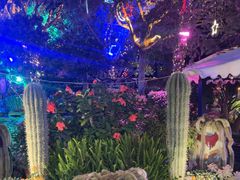 -山菌美食苑(振兴路店)