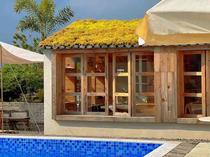 鹭野星空大白熊野奢营地餐厅-"七都新开的网红餐厅 大众点评刷到,立马