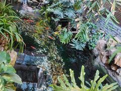 -聚缘堂·海鲜私房菜(松岭路店)