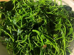 -孙家羊肉馆(庄良公路店)