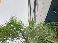 -the rug 飞毯 (朝阳公园店)