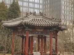 -月坛公园