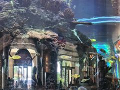 -长隆横琴湾酒店(珠海旗舰店)
