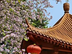 -南沙天后宫景区