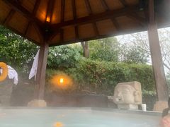 -天目湖涵田半山温泉