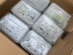 -有红鸡毛店·川菜(建设路店)