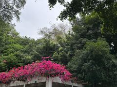 -厦门泰谷酒店(中山路镇海路地铁站店)