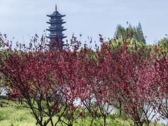 -乌镇景区