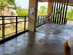 -宁波野生动物园