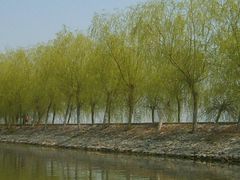 -焦岗湖旅游度假区