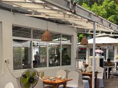 -芭厘·农庄老字号.电饭煲五指毛桃焗鸡