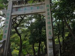 -沂蒙山旅游区云蒙景区(蒙山国家森林公园)