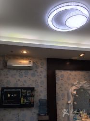 -MIVI野生眉纹绣纹眉