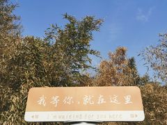 -杨家埠民间艺术大观园