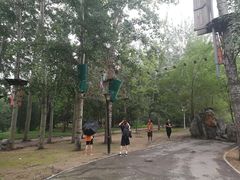 -朝阳公园游乐园