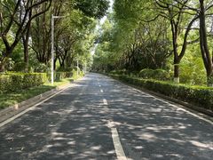 -羊山湖公园
