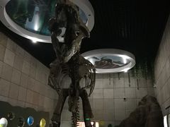 -诸城市恐龙博物馆