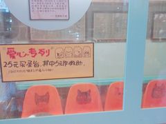 -猫咪博物馆(顶澳仔猫街店)