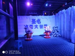 -圣名游乐城冰雪大世界